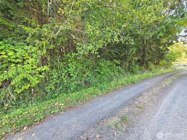 a view of a road from a yard
