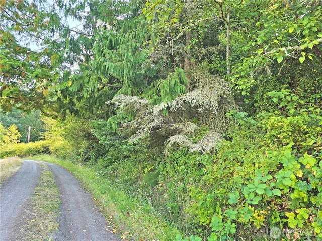 a view of a garden with a tree