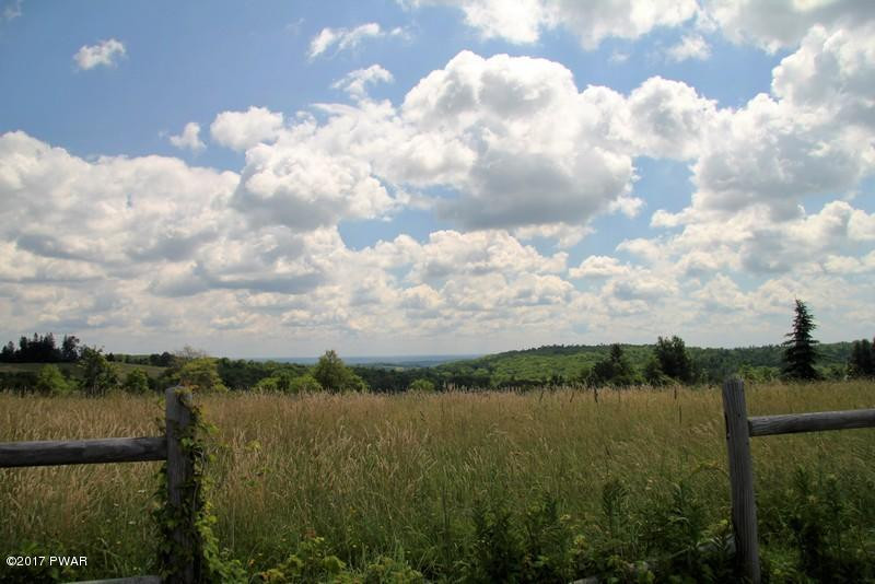 Dennis Road Honesdale, PA 18431 - Photo 3 of 4
