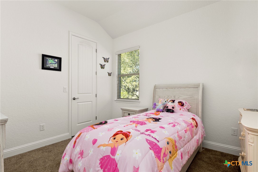 880 Haven Point Loop New Braunfels, TX 78132 - Photo 23 of 41 Bedroom