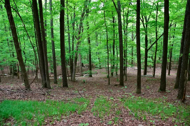 $115,000 | North Mountain Road, Gardiner, NY 00000