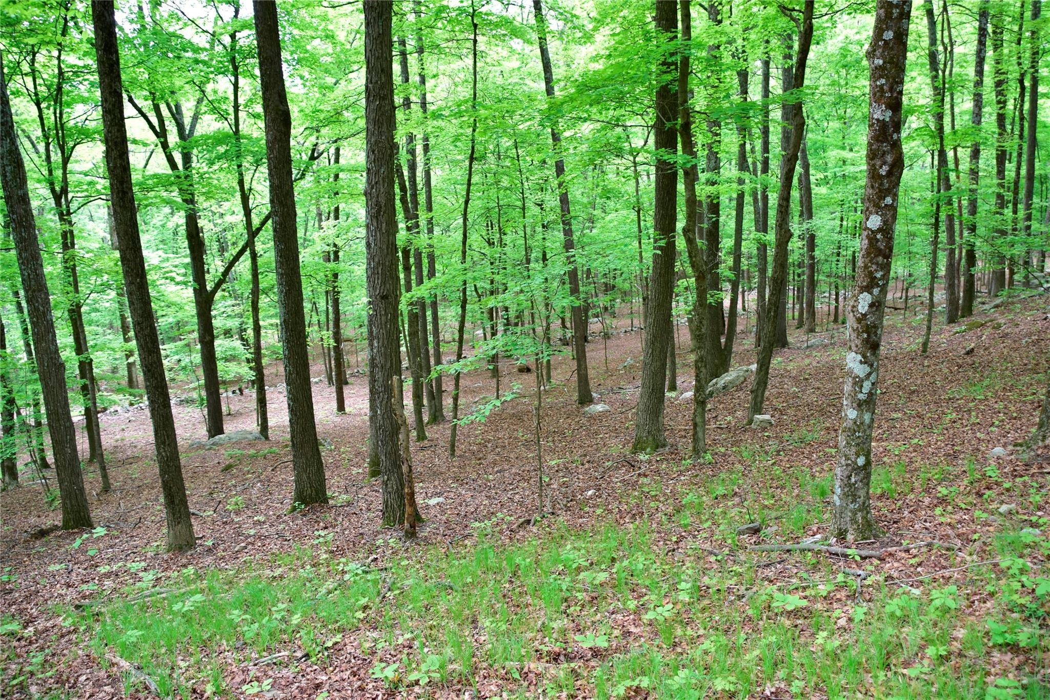 North Mountain Road Gardiner, NY 00000 - Photo 12 of 26 View of nature