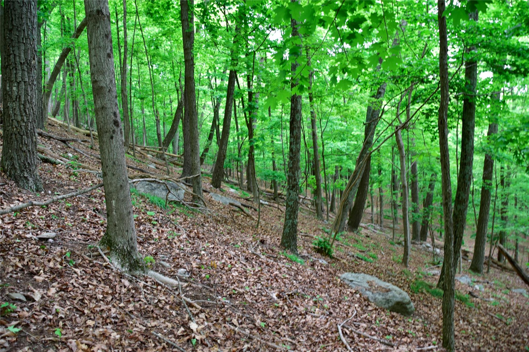 North Mountain Road Gardiner, NY 00000 - Photo 15 of 26 View of undeveloped land