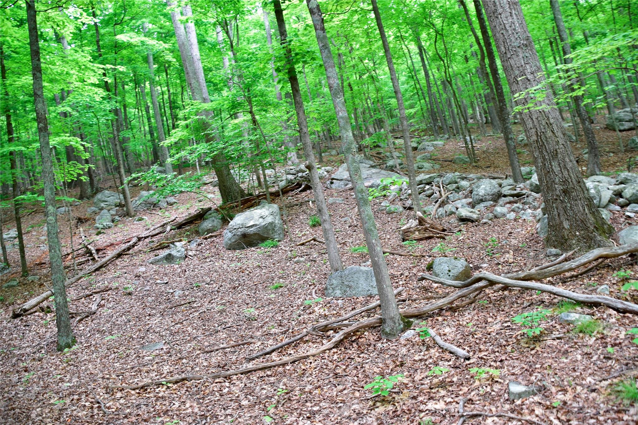 North Mountain Road Gardiner, NY 00000 - Photo 20 of 26 View of undeveloped land