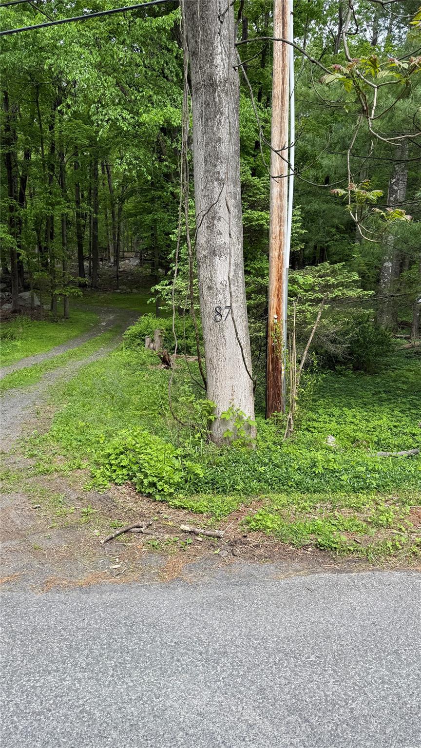 North Mountain Road Gardiner, NY 00000 - Photo 23 of 26 View of local wilderness