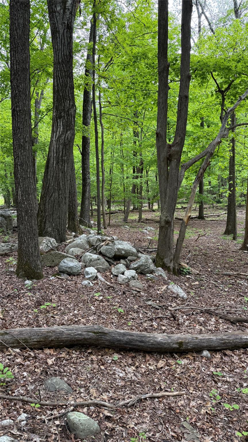 North Mountain Road Gardiner, NY 00000 - Photo 24 of 26 View of undeveloped land