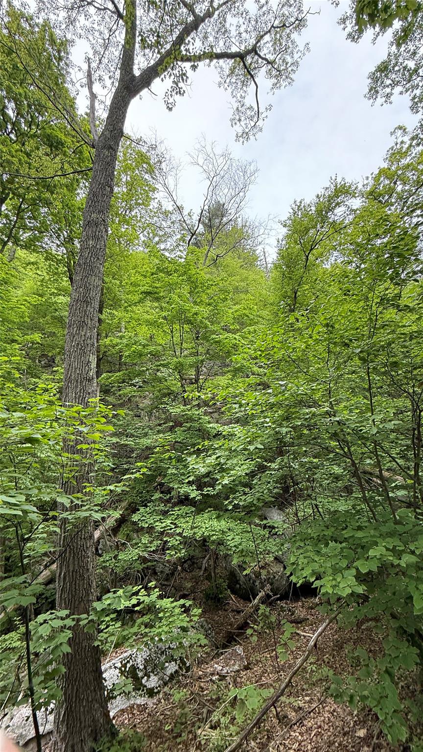 North Mountain Road Gardiner, NY 00000 - Photo 25 of 26 View of undeveloped land