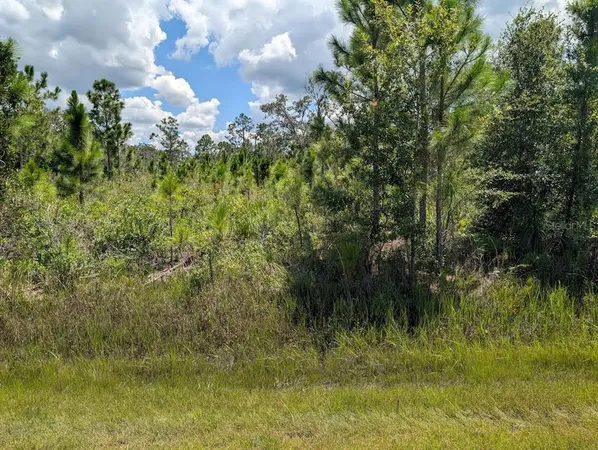 $32,000 | 311 Hibiscus Drive, Indian Lake Estates, FL 33898