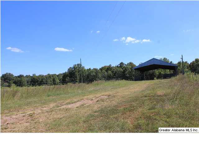 13084 Jackson Trace Road, Unit 94 83 AC Lincoln, AL 35096 - Photo 9 of 32