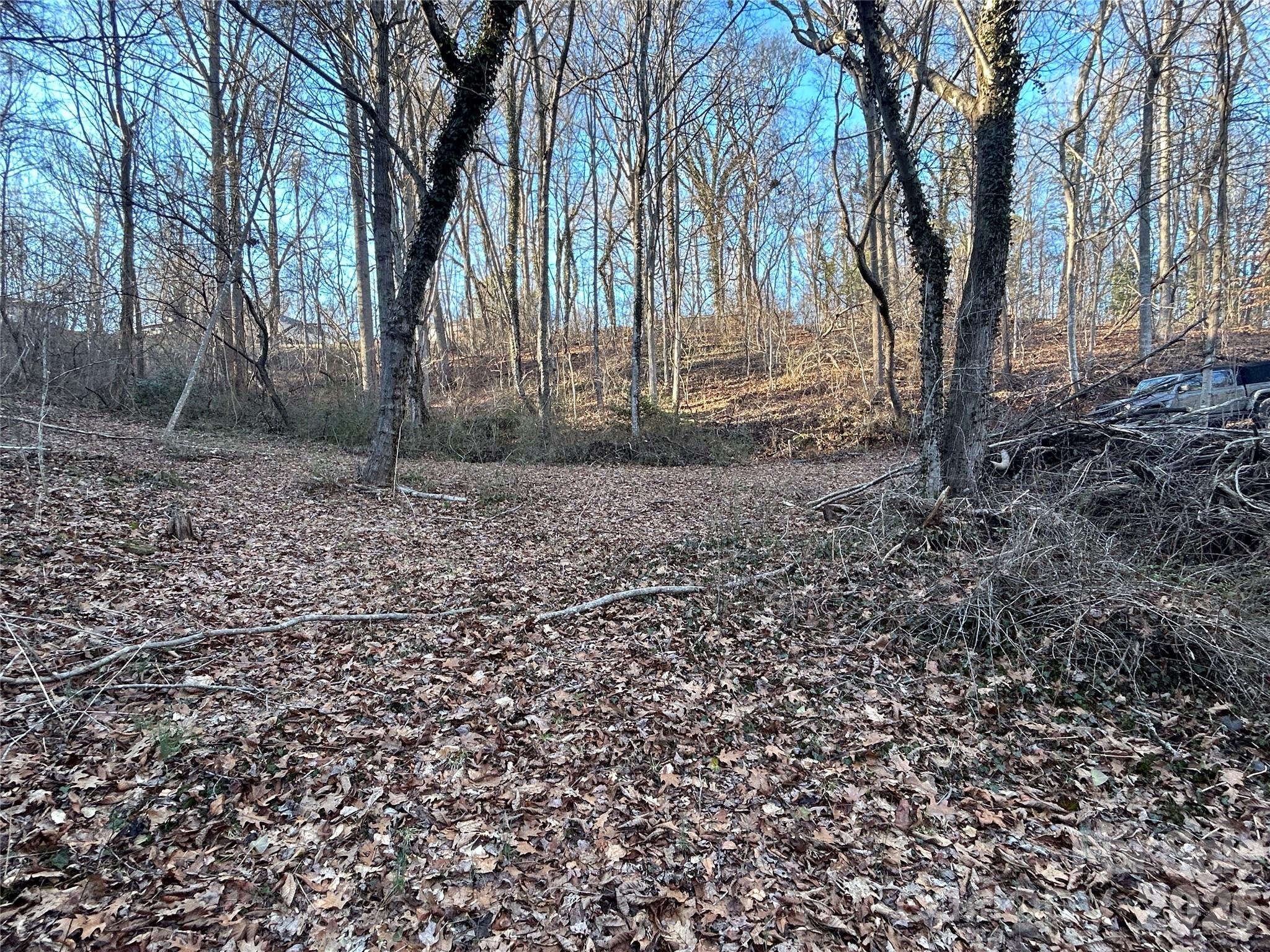 99999 Hickory Tree Road Asheville, NC 28805 - Photo 7 of 12