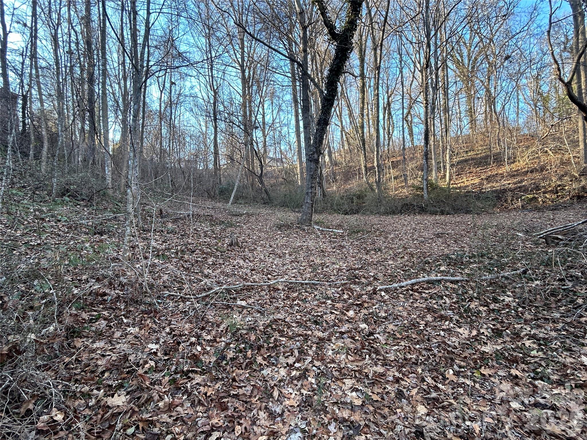 99999 Hickory Tree Road Asheville, NC 28805 - Photo 8 of 12