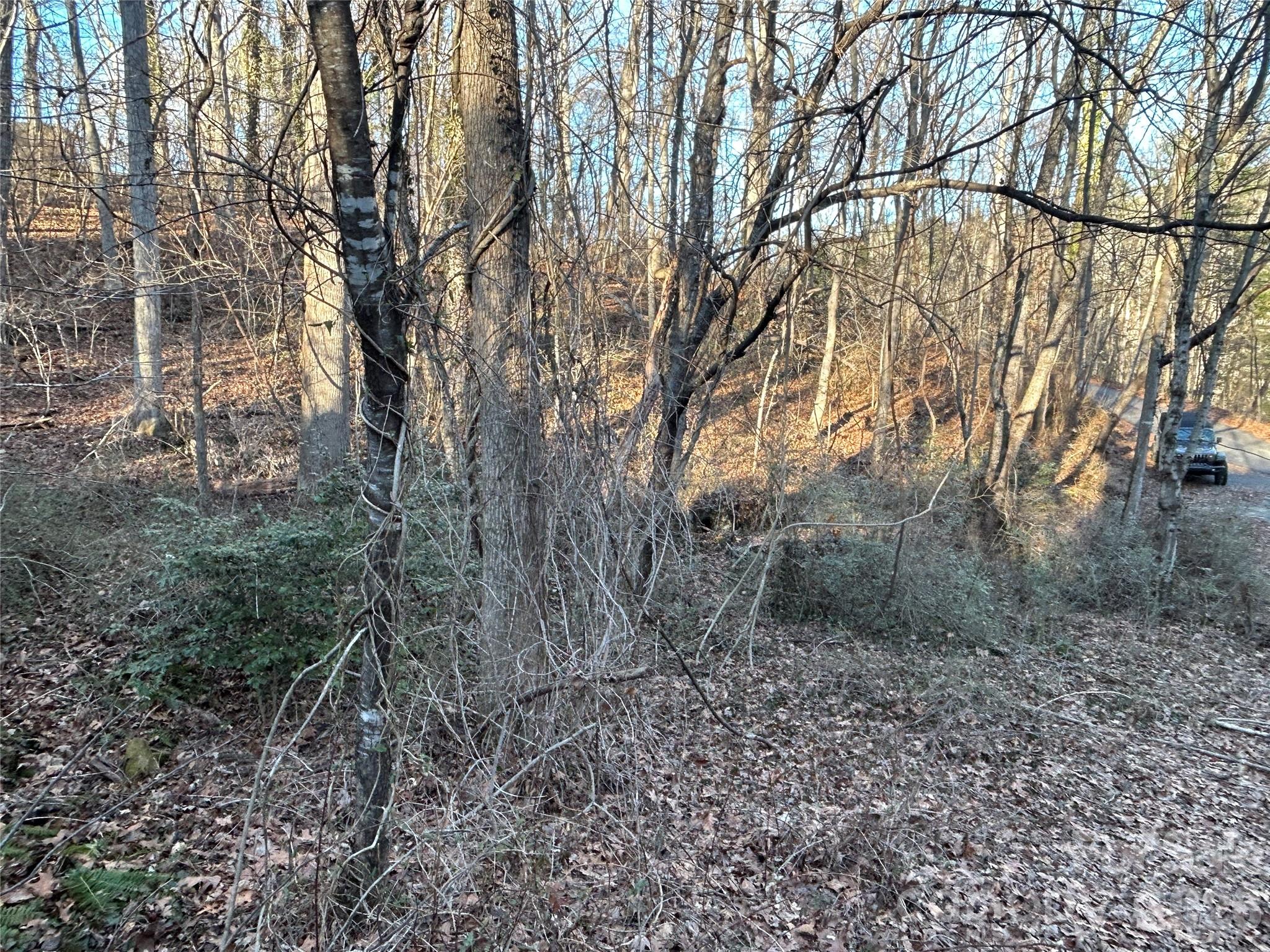 99999 Hickory Tree Road Asheville, NC 28805 - Photo 10 of 12