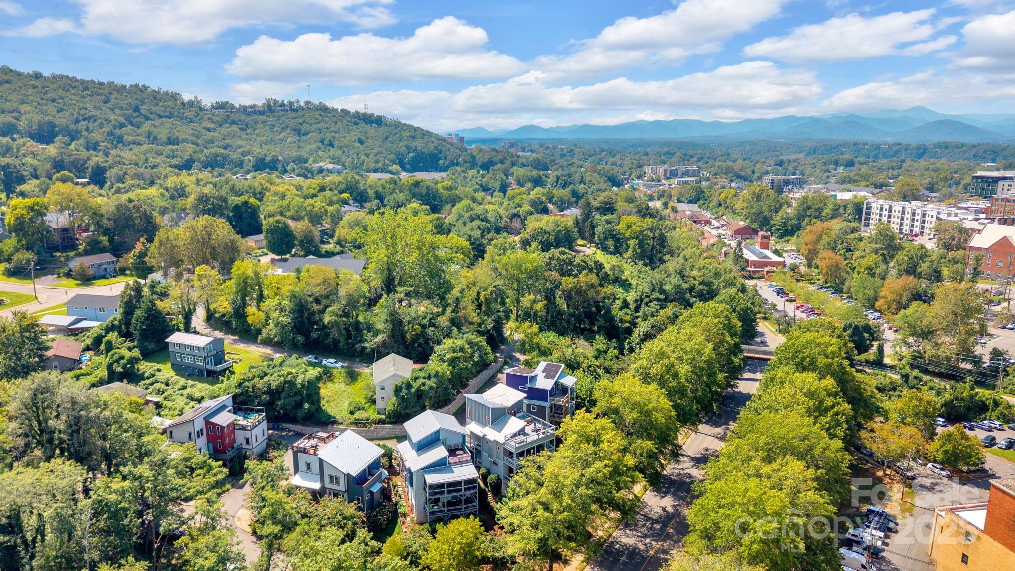 8 Birdhouse Row Asheville, NC 28801 - Photo 3 of 46 a view of a bunch of flowers