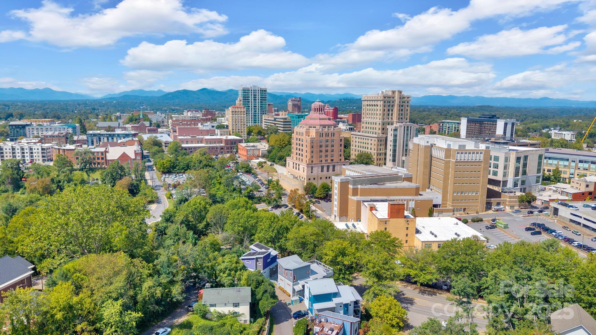 8 Birdhouse Row Asheville, NC 28801 - Photo 4 of 46 a picture of houses with outdoor space