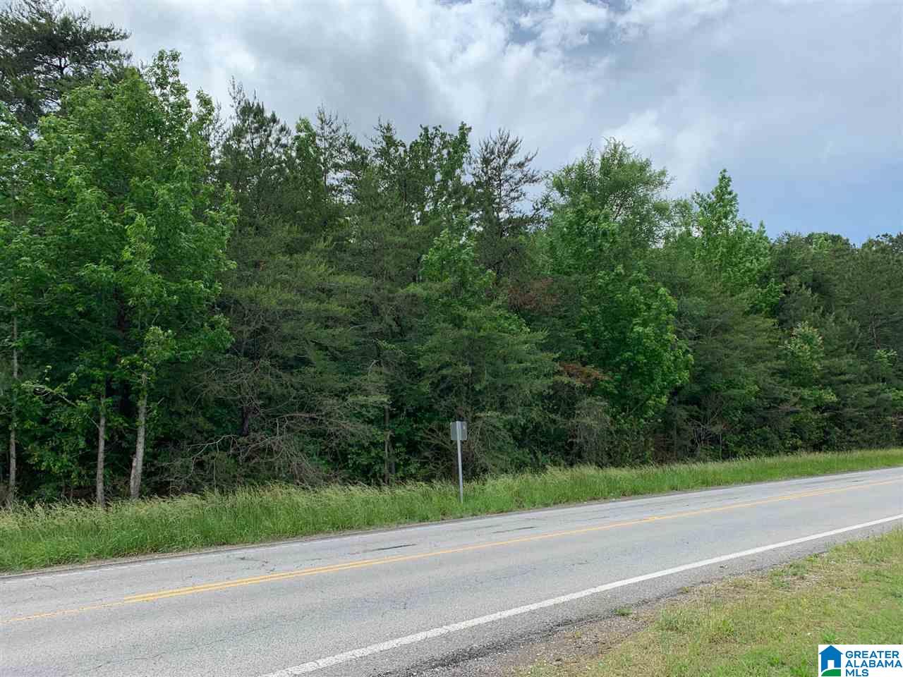 0 Highway 69 Cullman, AL 35055 - Photo 2 of 2