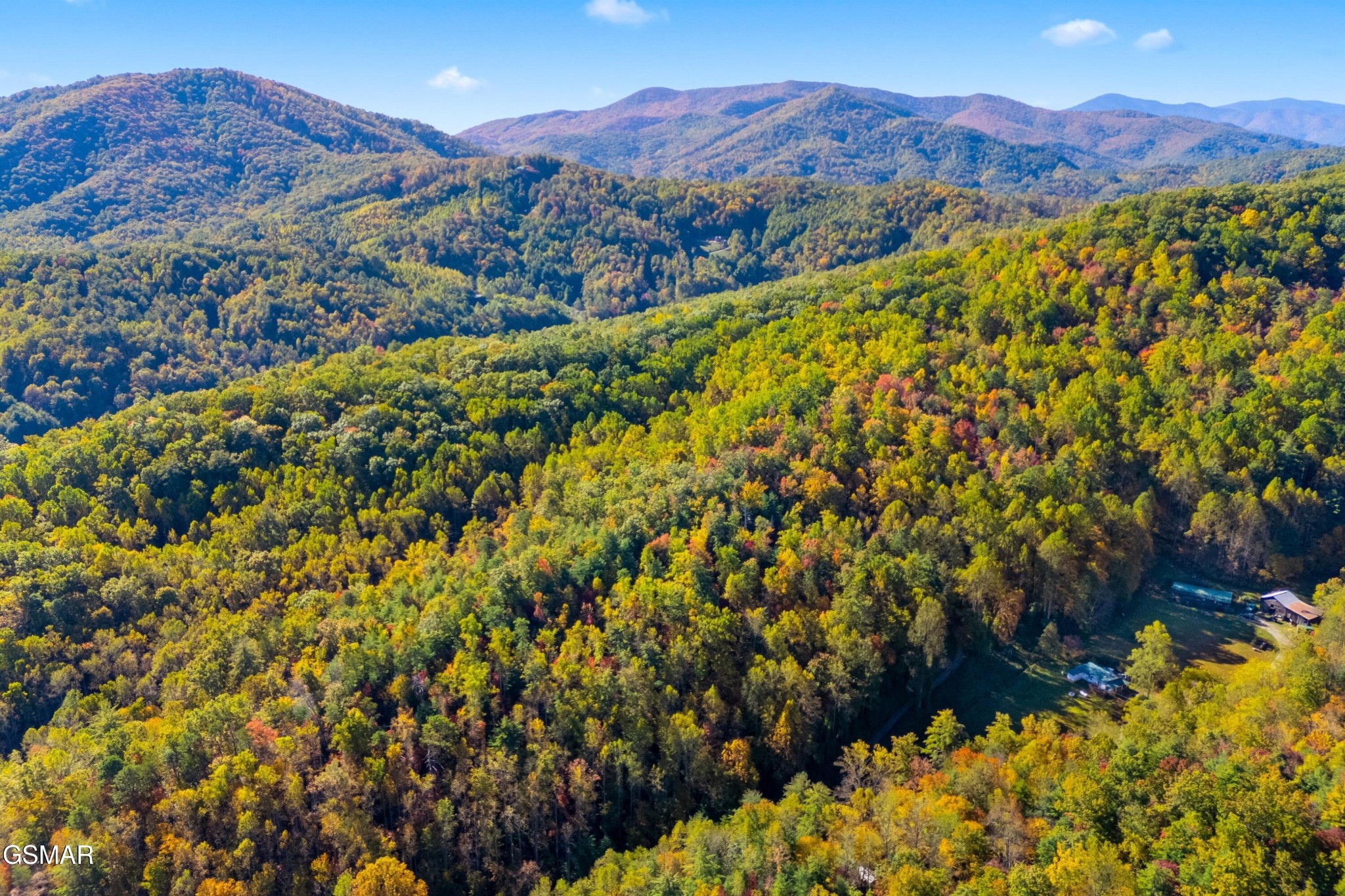 537 Reece Hollow Road Del Rio, TN 37727 - Photo 10 of 13 Gallery Image 10