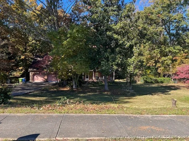 a view of a yard with a tree