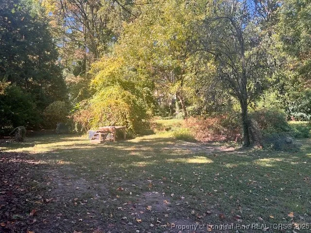 a view of a yard with a tree