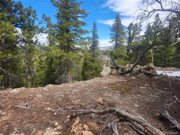 $219,000 | Fools Gold Road, Idaho Springs, CO 80452