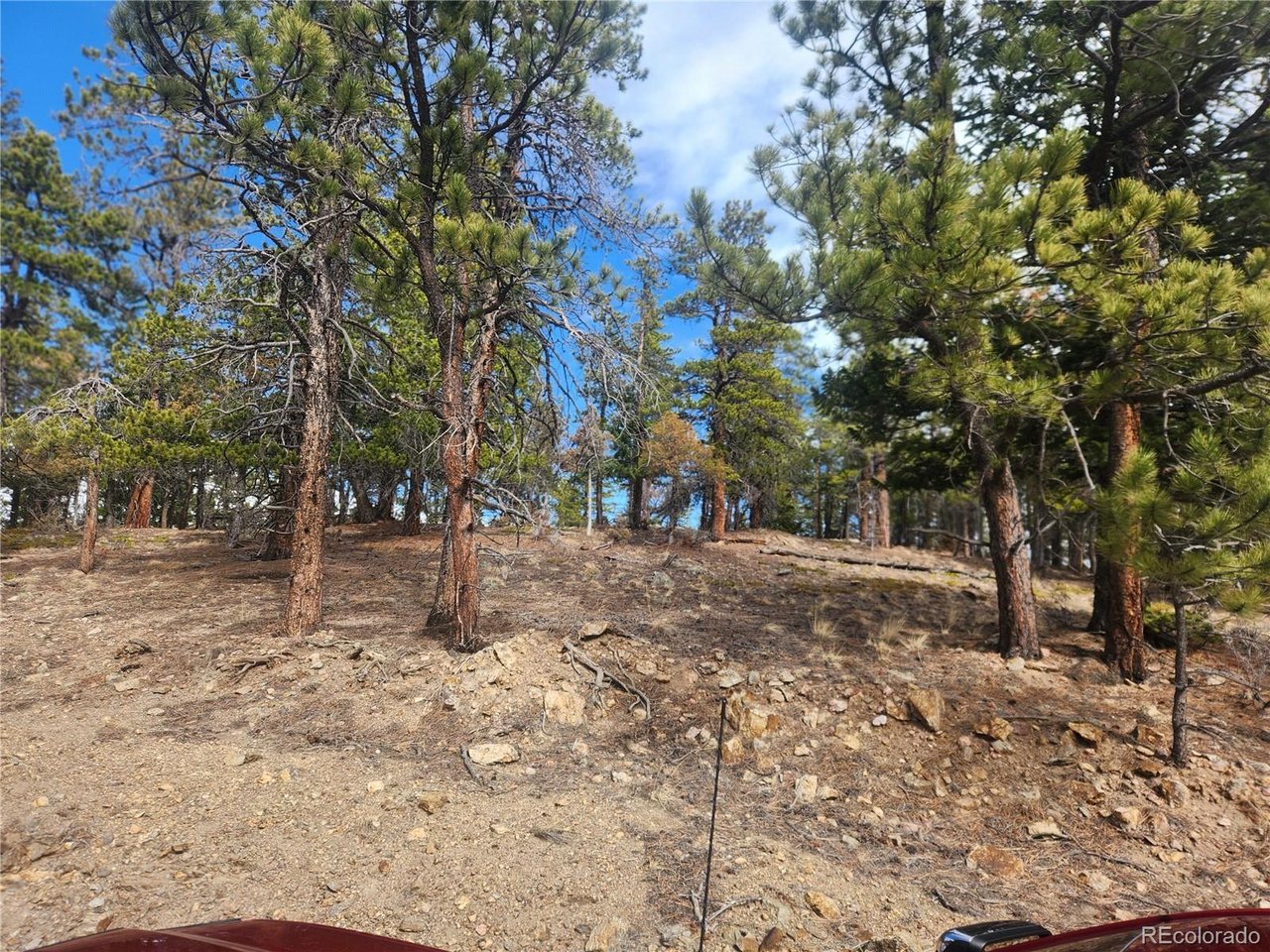Fools Gold Road Idaho Springs, CO 80452 - Photo 11 of 15 a view of road with trees