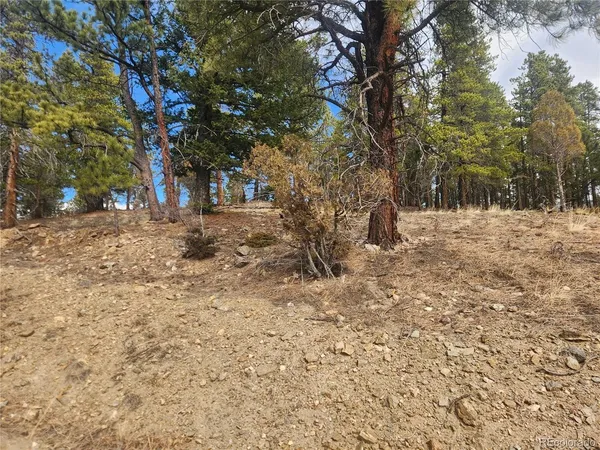 $219,000 | Fools Gold Road, Idaho Springs, CO 80452