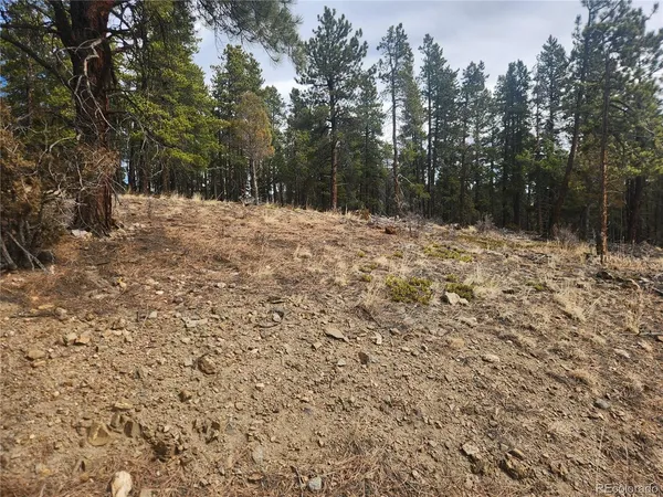 $219,000 | Fools Gold Road, Idaho Springs, CO 80452