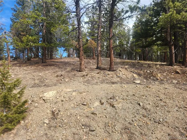 $219,000 | Fools Gold Road, Idaho Springs, CO 80452