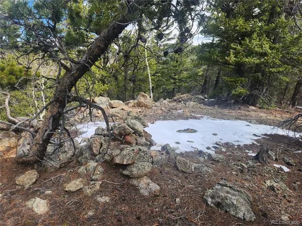 $219,000 | Fools Gold Road, Idaho Springs, CO 80452