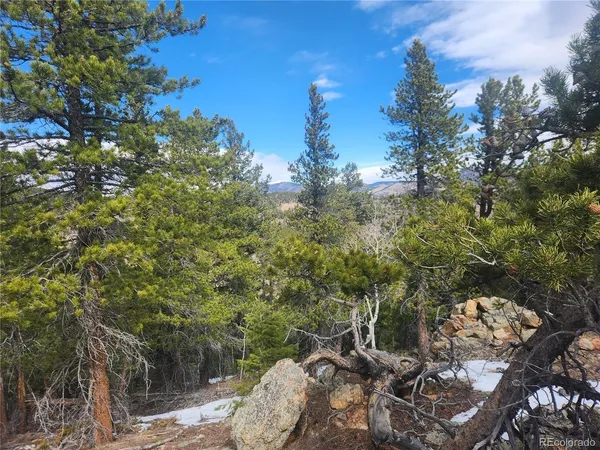 $219,000 | Fools Gold Road, Idaho Springs, CO 80452