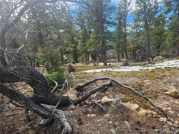 $219,000 | Fools Gold Road, Idaho Springs, CO 80452