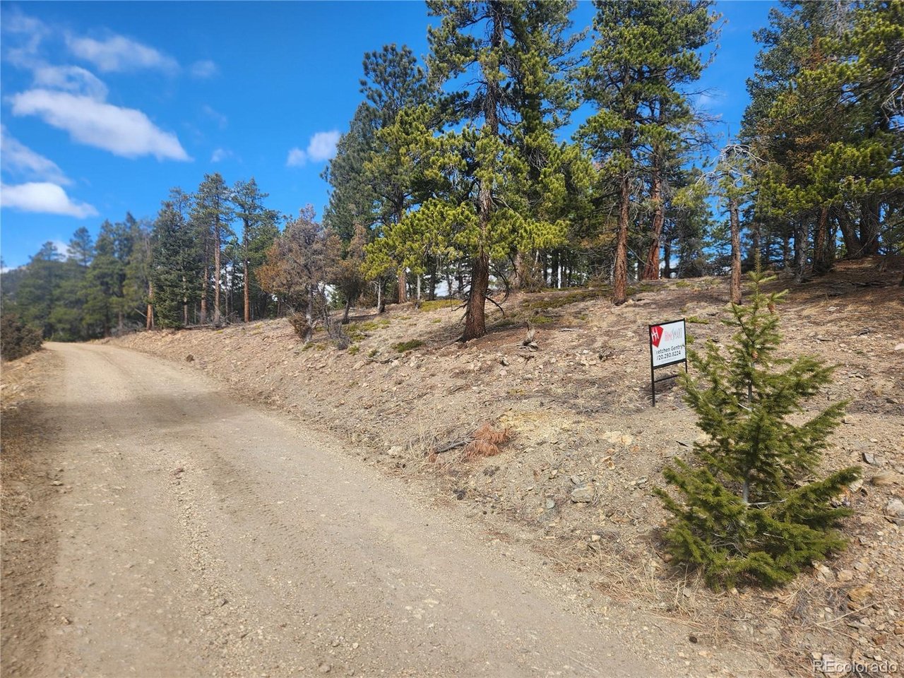Fools Gold Road Idaho Springs, CO 80452 - Photo 7 of 15 a view of road with trees