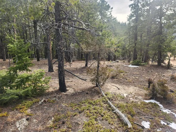 $219,000 | Fools Gold Road, Idaho Springs, CO 80452