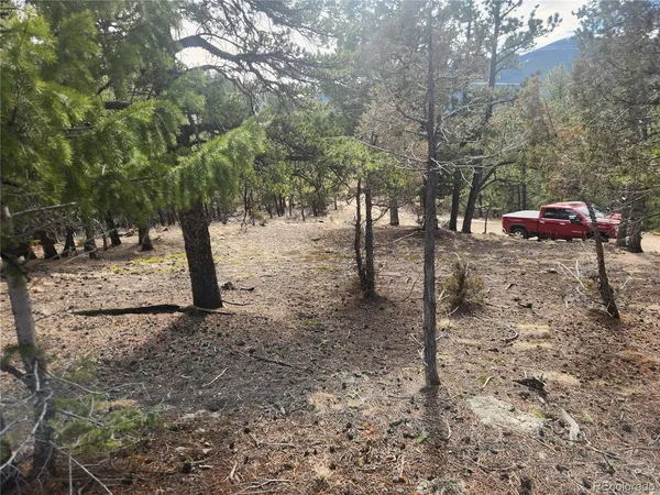 $219,000 | Fools Gold Road, Idaho Springs, CO 80452
