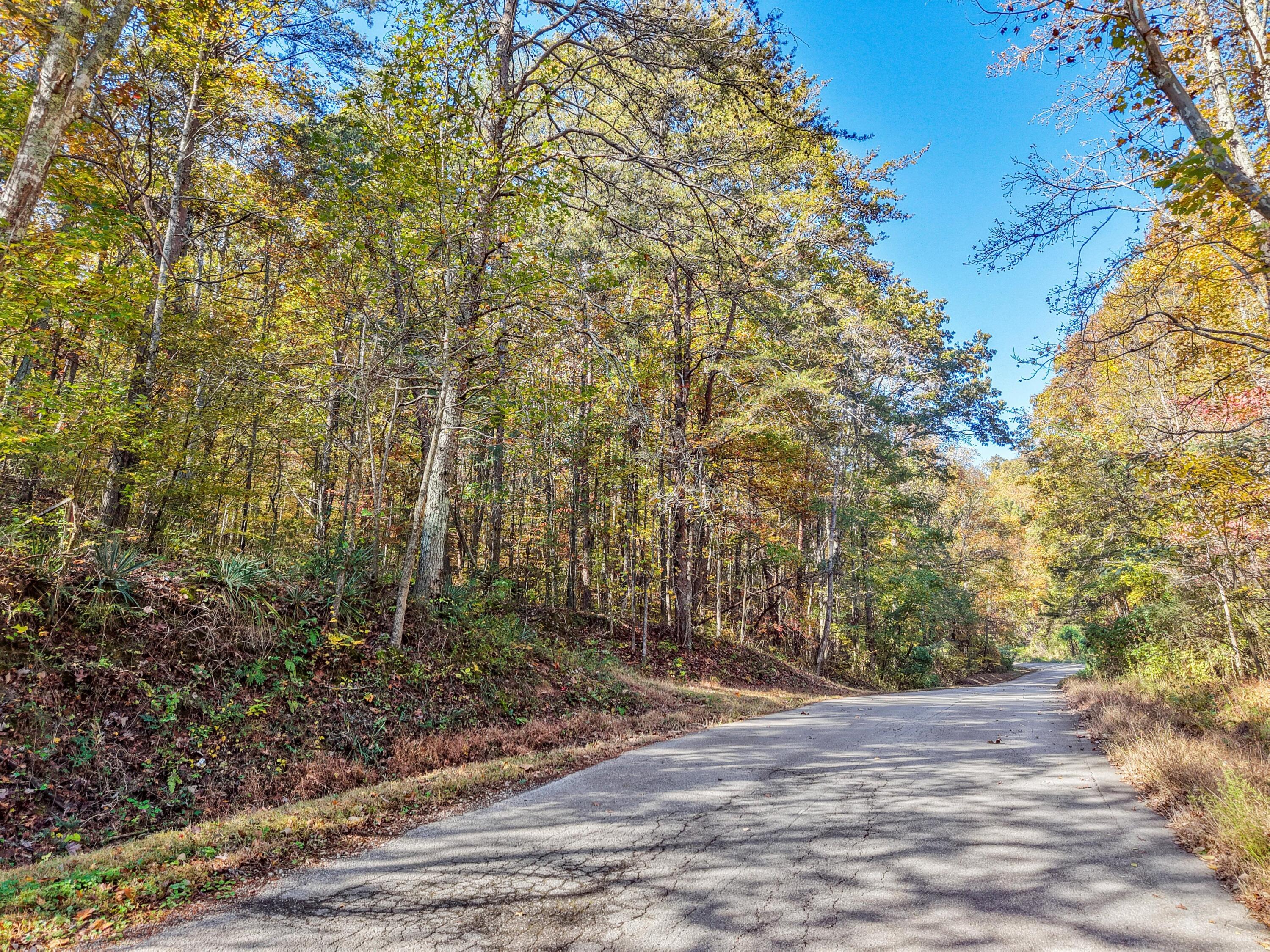 2429 Shinbone Ridge Road LaFayette, GA 30728 - Photo 9 of 13 09-DJI_20251105103840_0795_D