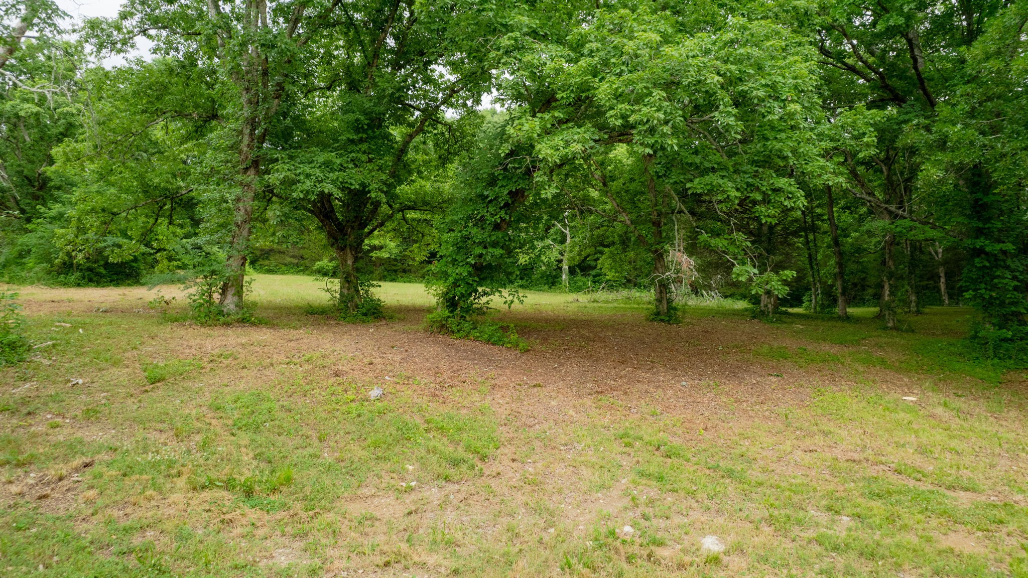 0 Morgan Road Rockvale, TN 37153 - Photo 20 of 24
