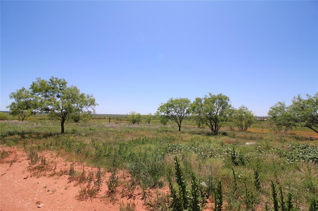 Lot 5 Marshal Trail Tuscola, TX 79562 - Photo 4 of 13 a view of a field with trees in background