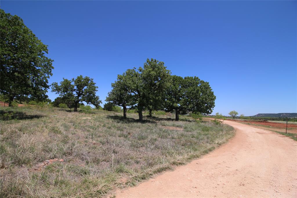 Lot 5 Marshal Trail Tuscola, TX 79562 - Photo 7 of 13 a view of a yard with a tree
