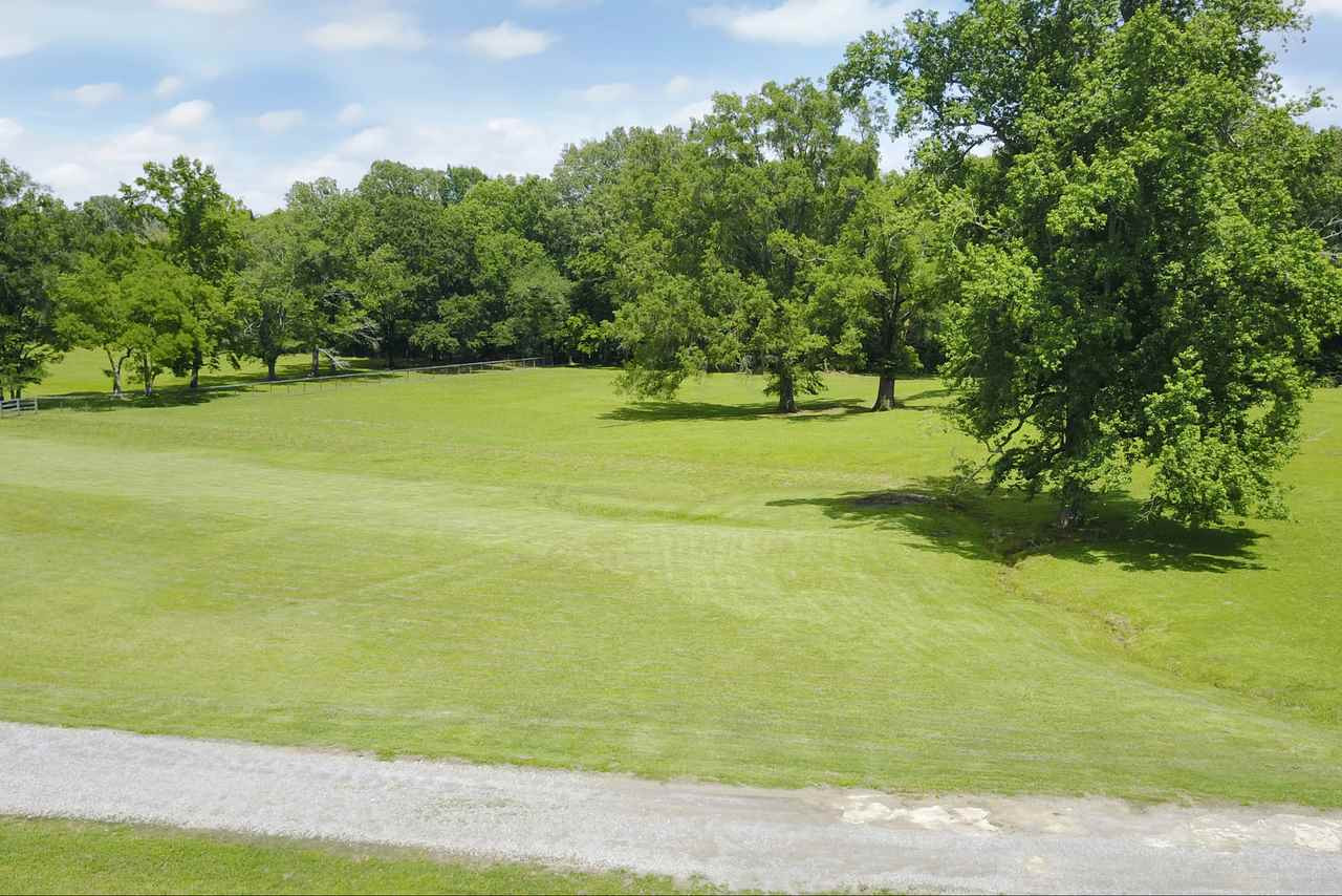 140 Watson Road Flora, MS 39071 - Photo 17 of 50 Photo 17