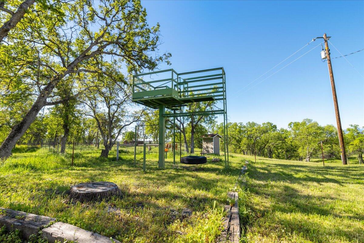 16455 Ridge Road Red Bluff, CA 96080 - Photo 28 of 56 a view of a park with large trees