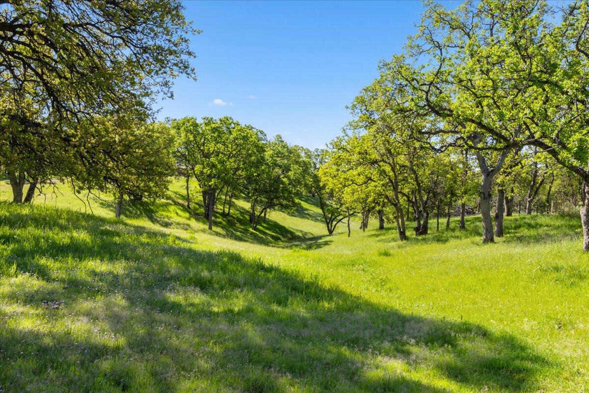 16455 Ridge Road Red Bluff, CA 96080 - Photo 33 of 56 a view of yard with green space