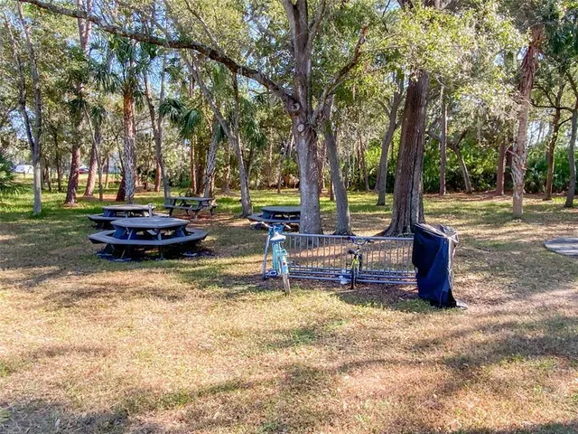 a park view with a tree