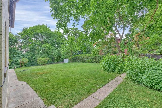 a view of a yard with plants and large trees