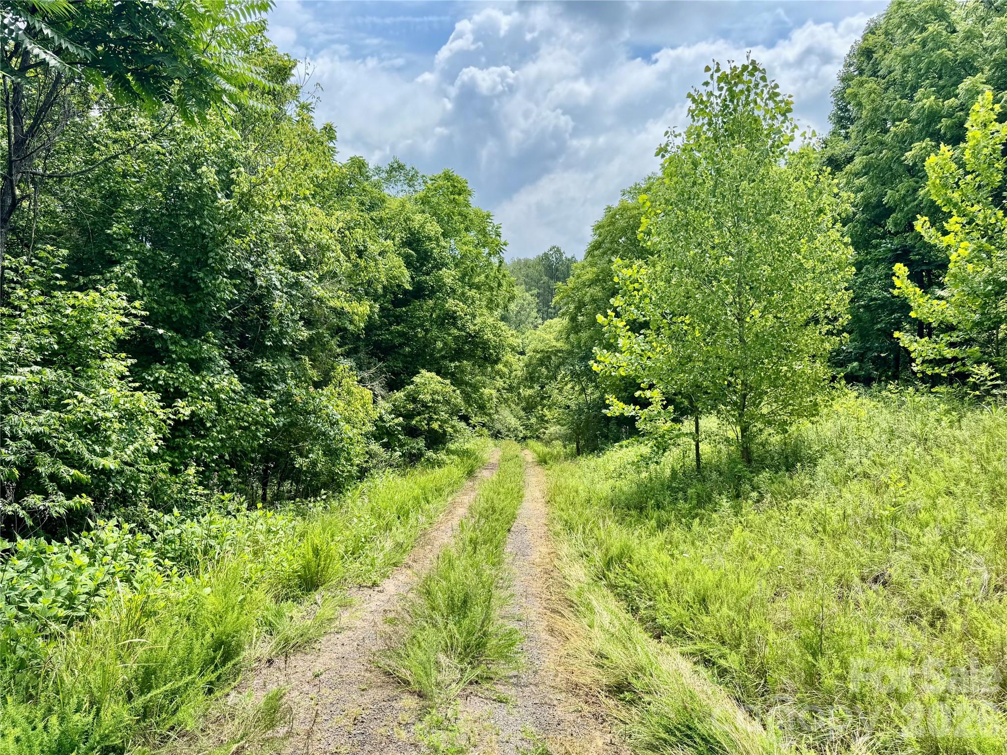 0 Butler Mill Road Harmony, NC 28634 - Photo 11 of 20