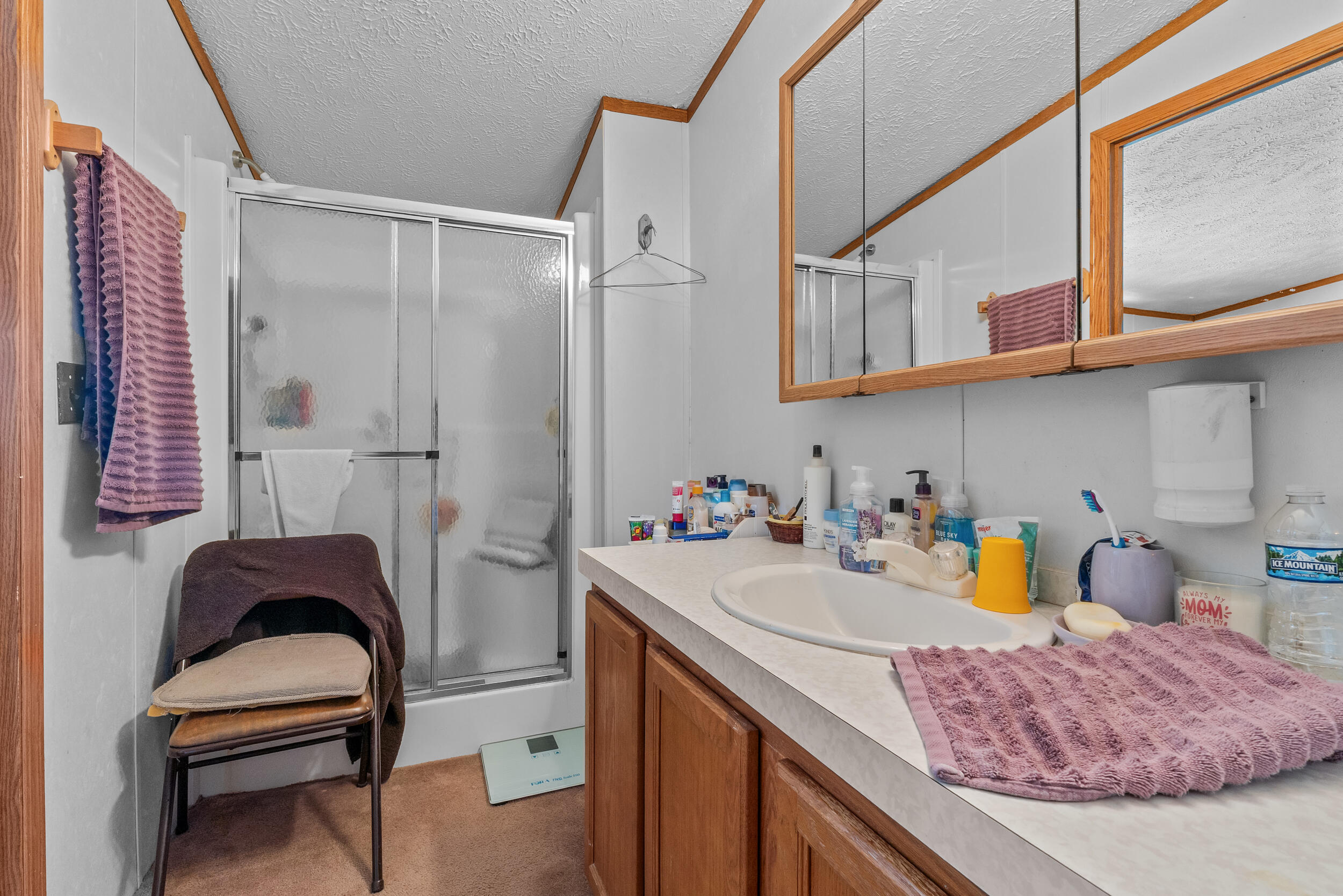 8591 Reading Road East Pittsford, MI 49271 - Photo 13 of 33 27__dsc5011