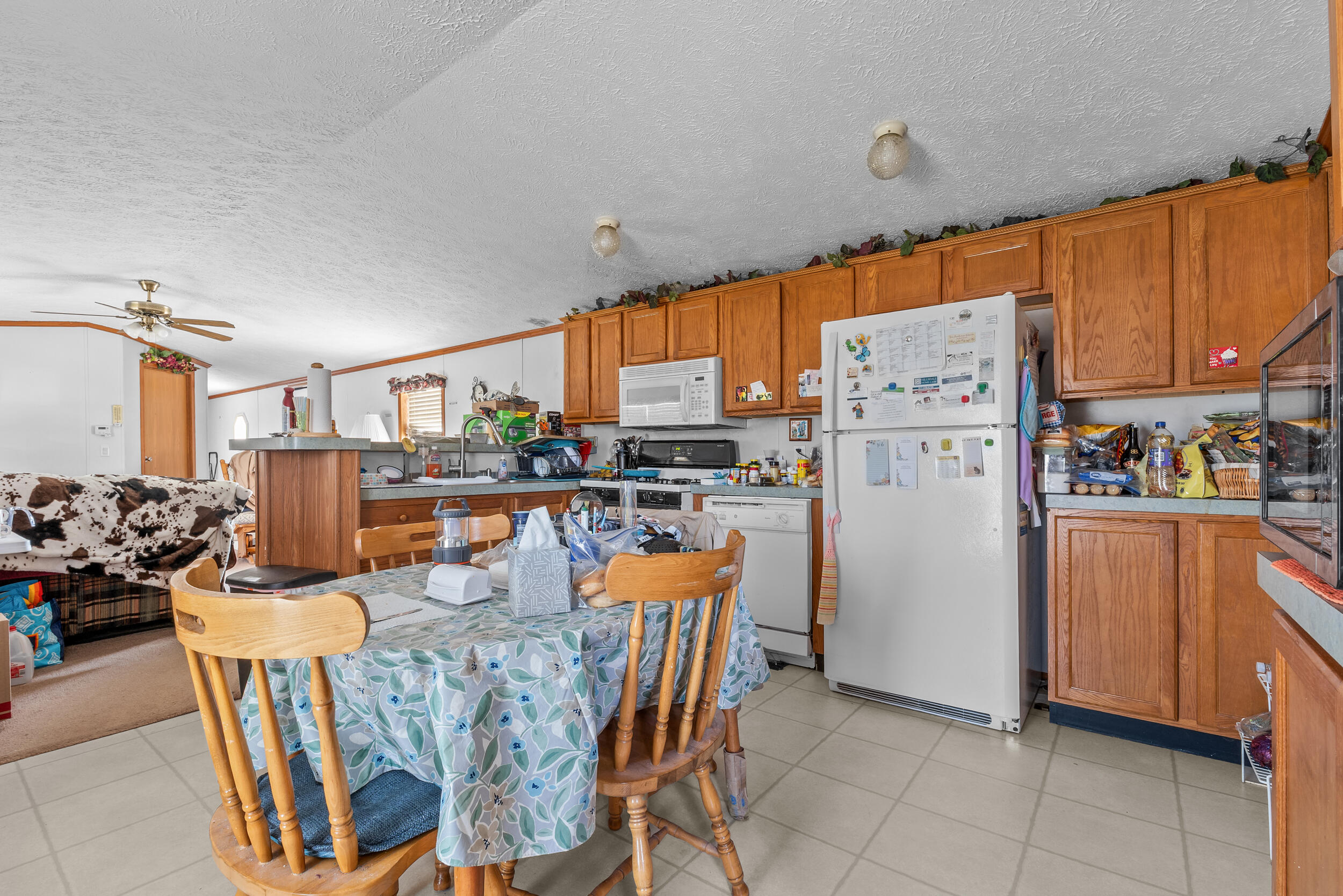 8591 Reading Road East Pittsford, MI 49271 - Photo 14 of 33 28__dsc5014