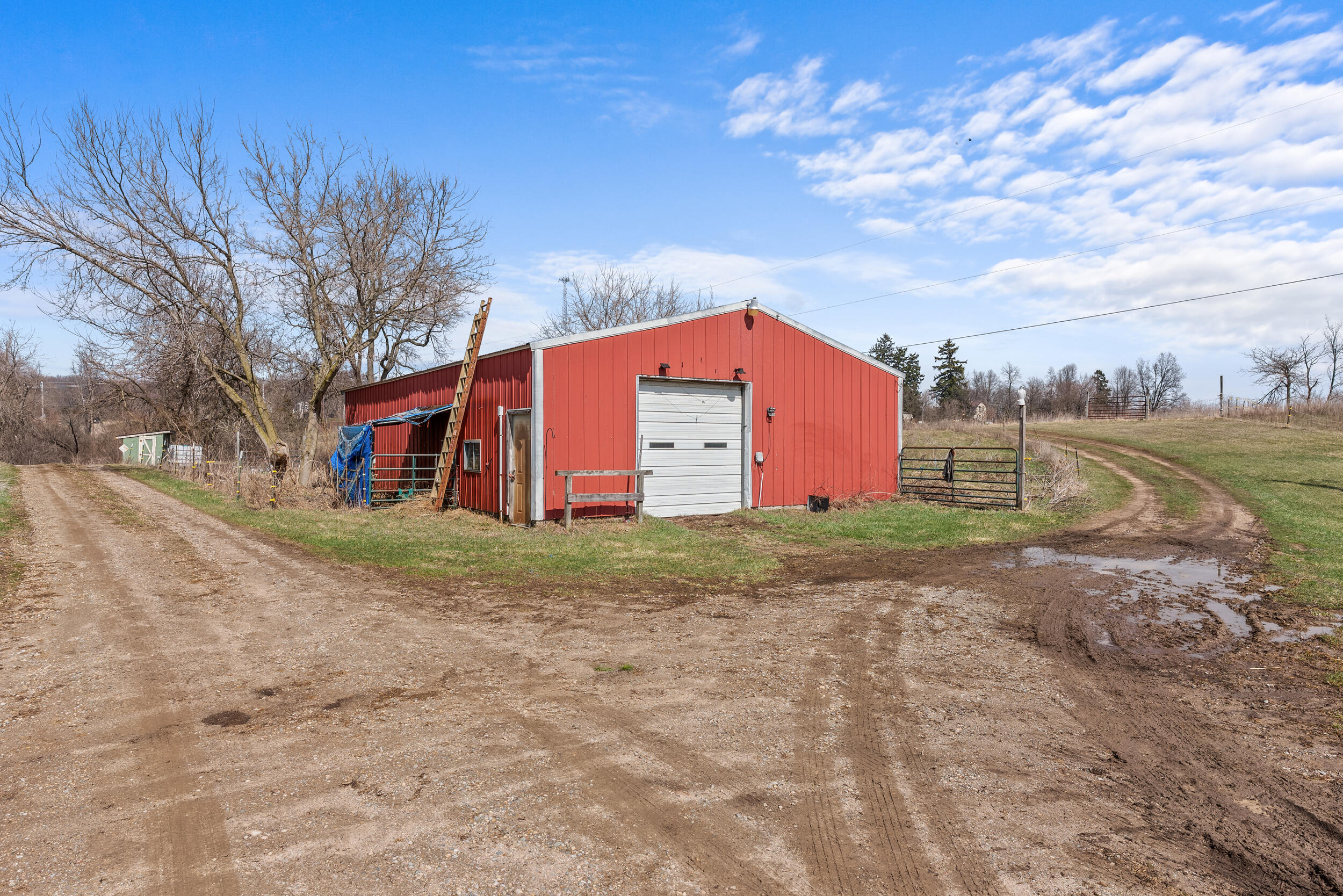8591 Reading Road East Pittsford, MI 49271 - Photo 5 of 33 11__dsc4963