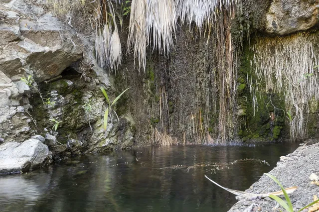 $2,995,000 | 16825 Maricopa Highway, Ojai, CA 93023