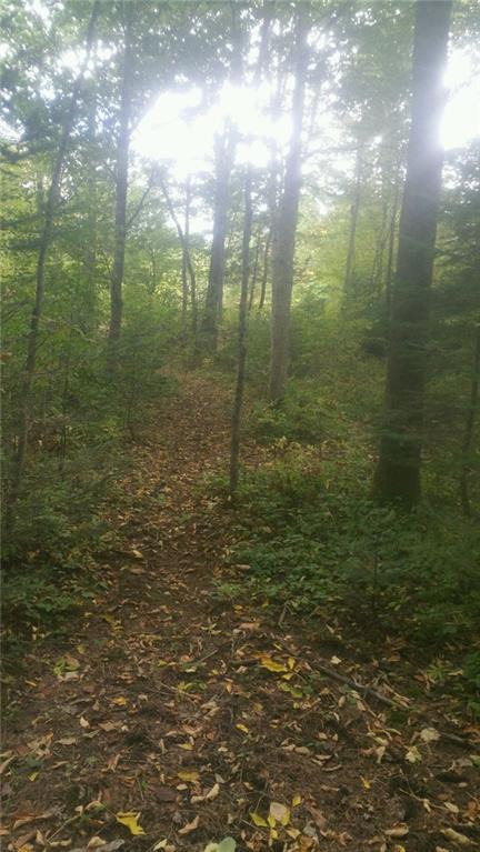 1177 Valley Road Anson, ME 04911 - Photo 20 of 31 path from brook back to open field