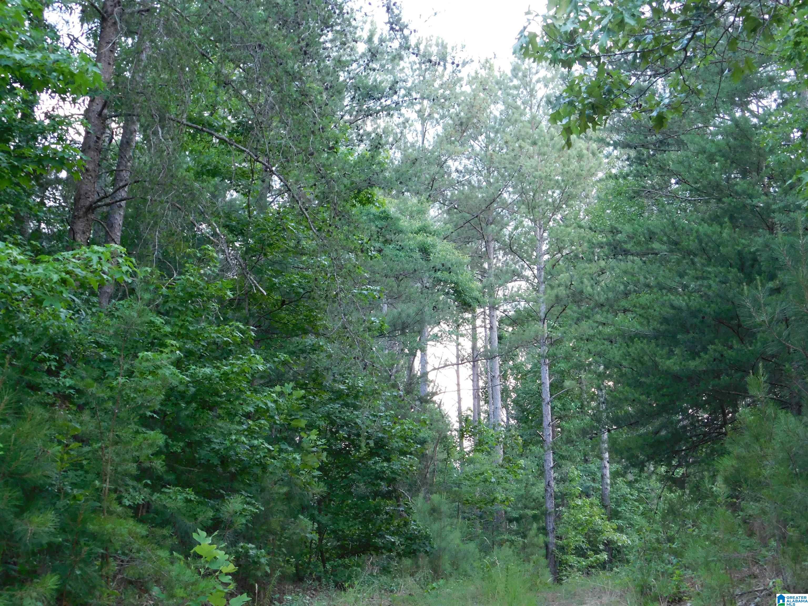 337 Lees Bridge Road, Unit 17 01 06 14 0 000 005 Delta, AL 36258 - Photo 7 of 8