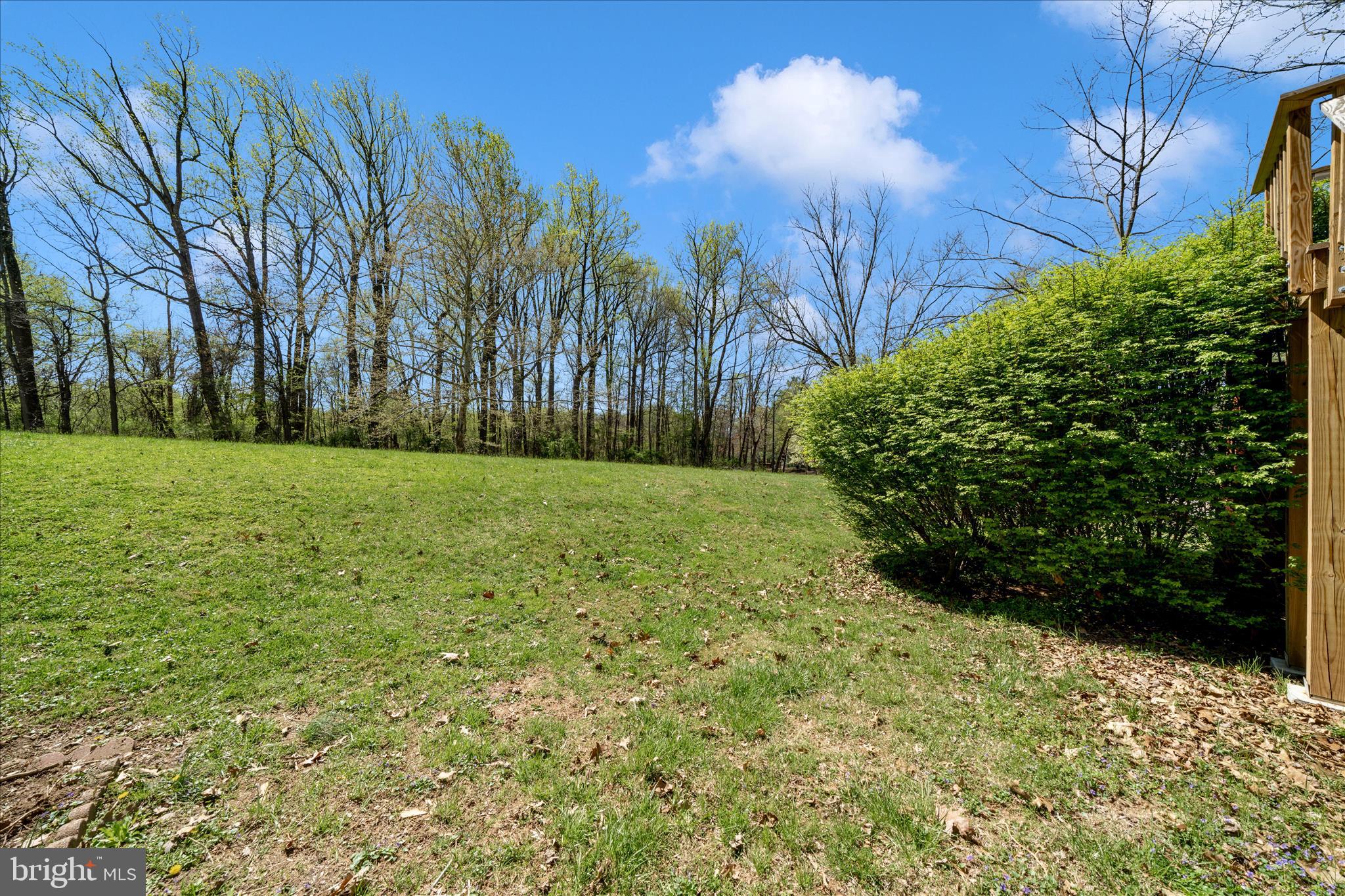 11704 Lone Tree Court Columbia, MD 21044 - Photo 28 of 38 a view of yard with trees